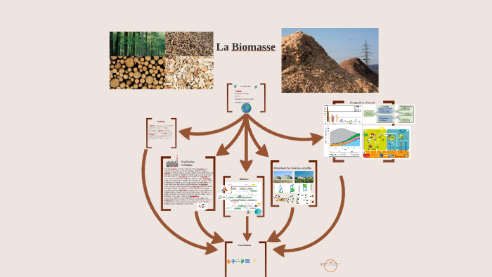 Biomasse by Garde Garde on Prezi