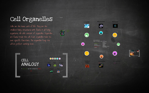 Cell Organelles 101 By Bryan Turner On Prezi