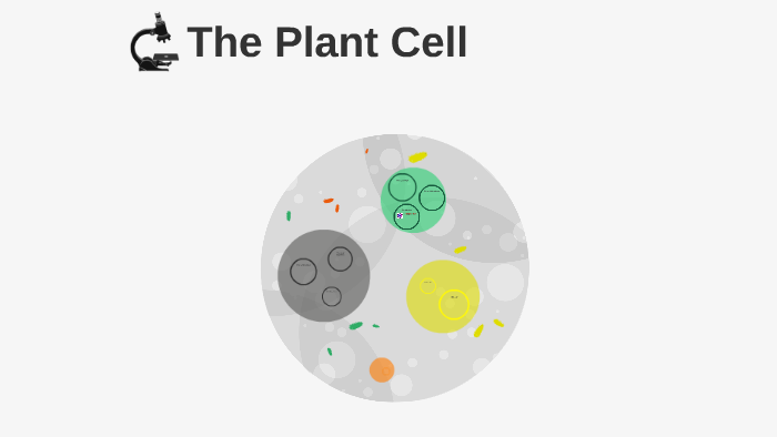 The Plant Cell by on Prezi