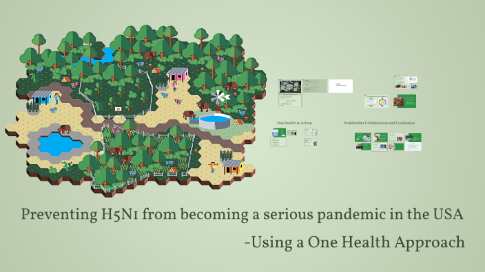 Preventing novel H5N1 from becoming a pandemic in the USA: Using a One ...