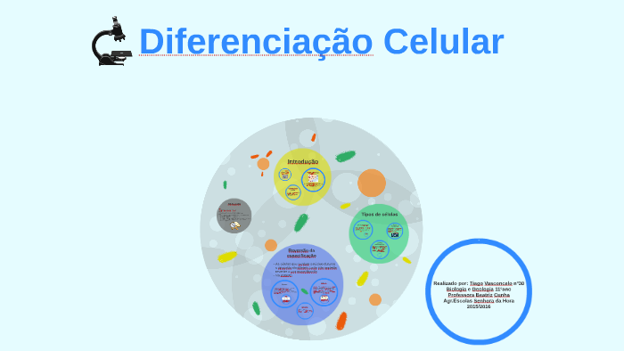 Divisão celular - Biologia - InfoEscola
