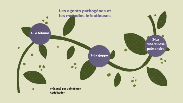 Les Agents Pathogènes Et Les Maladies Infectieuses By Zeineb Ben ...