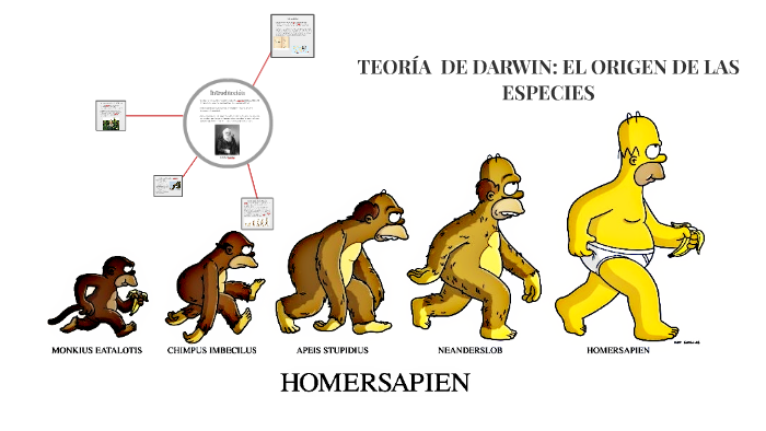 Teoría de Darwin: El Origen de las Especies by CARMEN CRUZ on Prezi