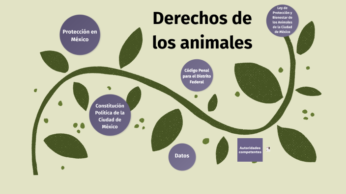 Derechos de los animales by Fernanda García on Prezi