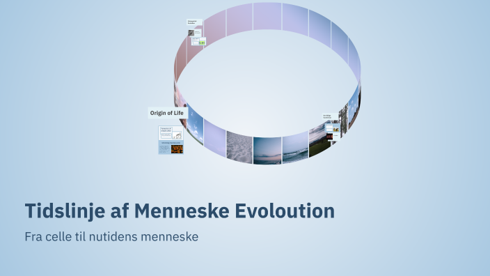 Timeline of Human Evolution by Daniel Haustrup on Prezi