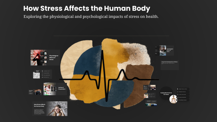 How Stress Affects the Human Body by George Lucut on Prezi