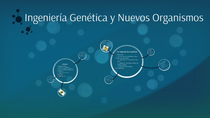 Ingeniería Genética Y Nuevos Organismos By Isidro Matos On Prezi