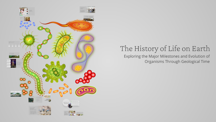 The History of Life on Earth by Haithen on Prezi