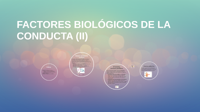 FACTORES BIOLÓGICOS DE LA CONDUCTA (II) By Blanca Herrerias On Prezi