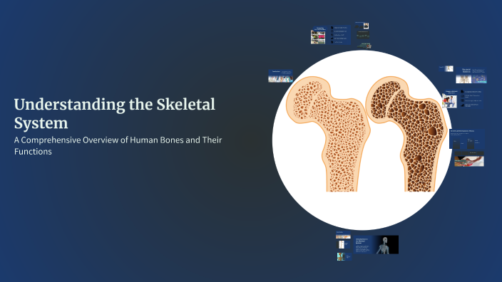 Understanding the Skeletal System by Mohamed mohamed on Prezi
