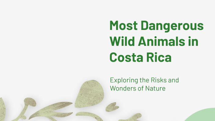 Most Dangerous Wild Animals in Costa Rica by jairo viales on Prezi