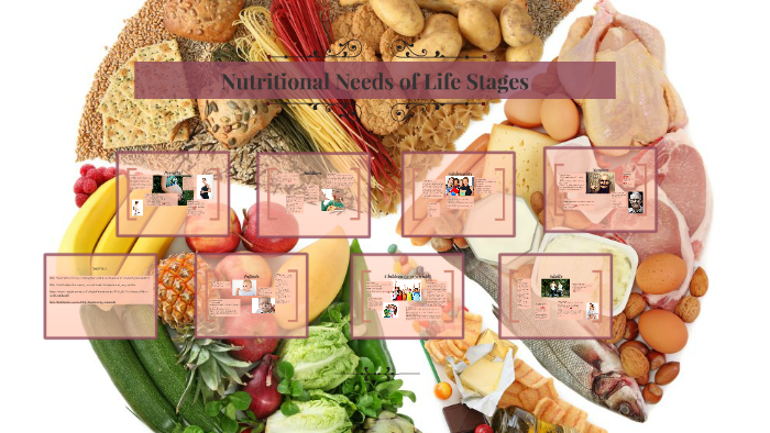 Nutritional Needs of Life Stages by vikki aliberti on Prezi