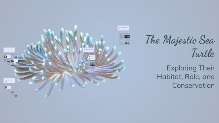 Protecting Sea Turtles by Madison Williams on Prezi