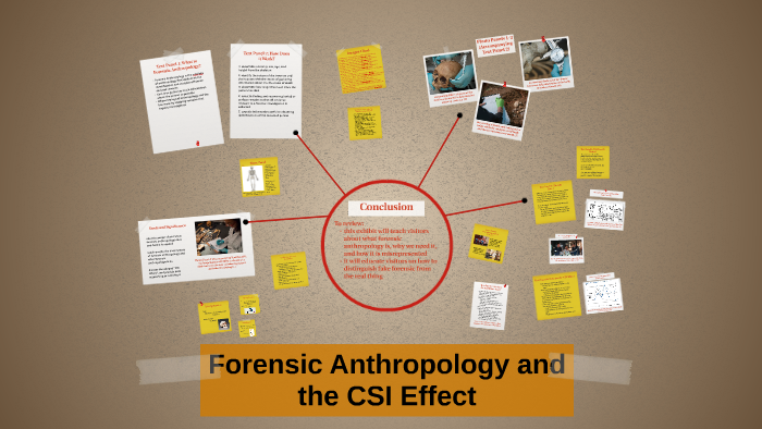 Forensic Anthropology And The CSI Effect By On Prezi