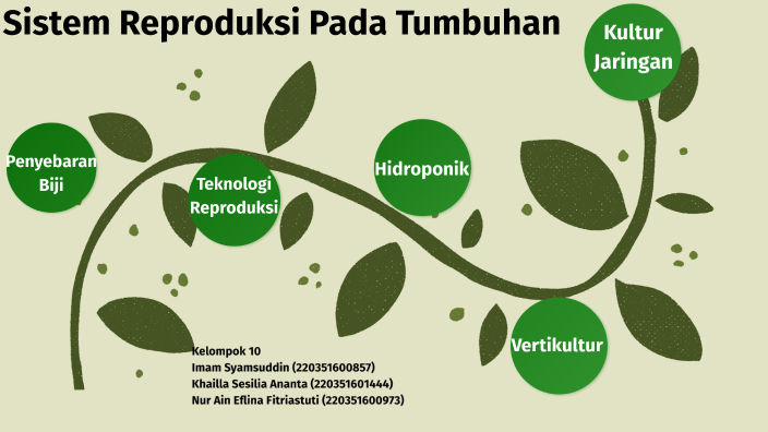 Sistem Reproduksi Pada Tumbuhan By Khailla Sesilia Ananta On Prezi 7966