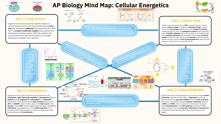 Unit 4: Mind Map - Nicolas Vasquez by Nicolas Vasquez on Prezi