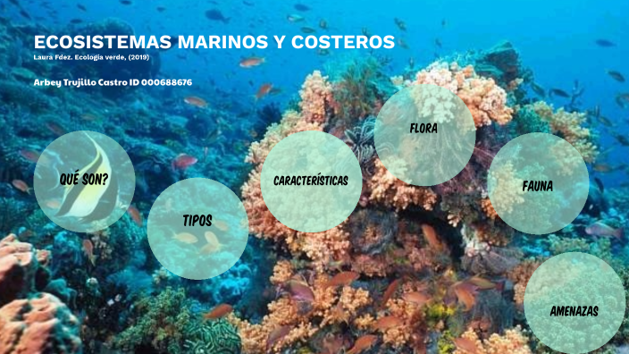 Ecosistemas Marinos Y Costeros By Arbey Trujillo On Prezi