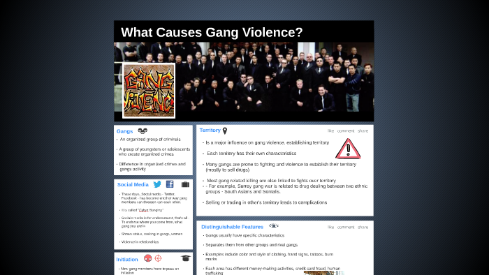 what-causes-gang-violence-by-cherie-ly