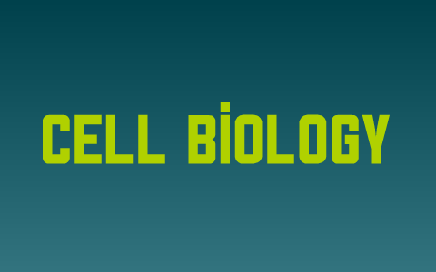 Unit 1: Cell Biology Review by Jasmine D on Prezi