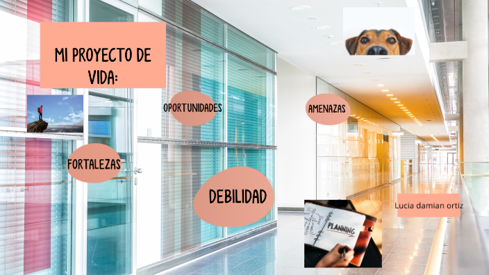 MI PROYECTO DE VIDA by lucia damian on Prezi