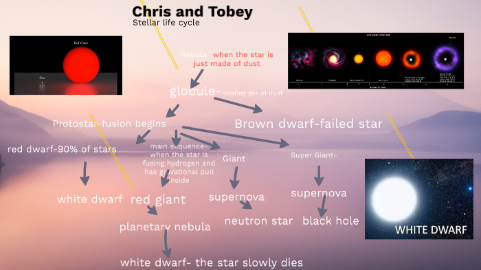 Stages of the sun by Tobey Cassino on Prezi