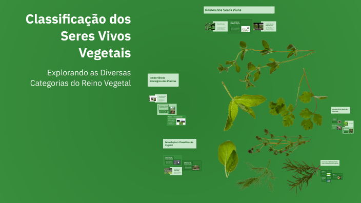Classificação dos Seres Vivos Vegetais by Alessandro Mafra Maxwell on Prezi