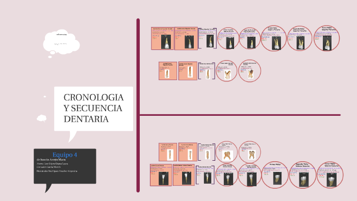Cronología de erupción: dentición primaria y secundaria. by ari hernandez