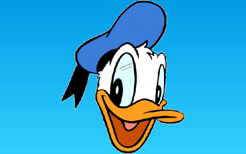 Merels spreekbeurt over Donald Duck by k grt