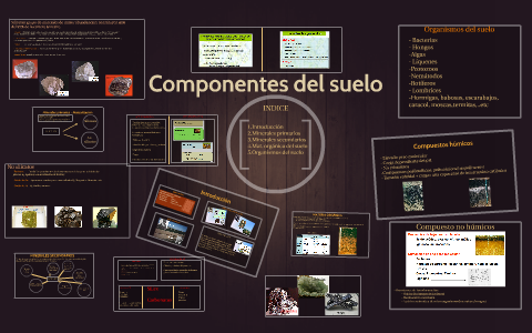 Componentes del suelo by