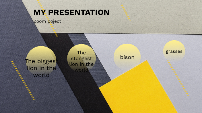 zoom project by Lukas Juarez on Prezi