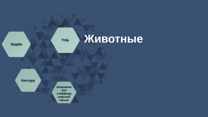 Животные by Дарья Осминина on Prezi