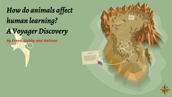 how-do-animals-affect-human-learning-by-freya-smart-on-prezi-next