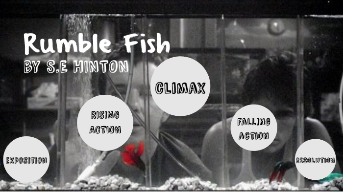 Rumble Fish by Catalina Zarate on Prezi