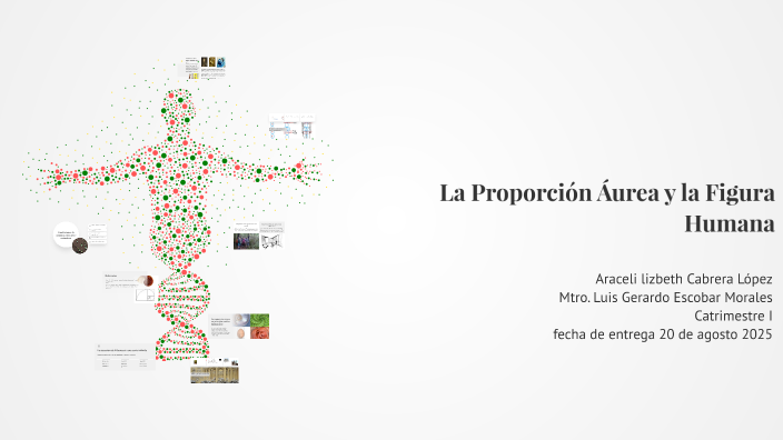 La Proporción Áurea y la Figura Humana by araceli cabrera on Prezi