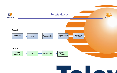 Derechos Asis Tobe By Salvador Rocha