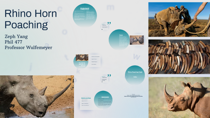 Rhino Horn Poaching by Zee Zee on Prezi