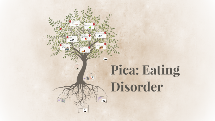 pica disorder length to diagnosis