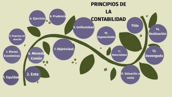 15 principios de la contabilidad by Carlitoss Hammy on Prezi