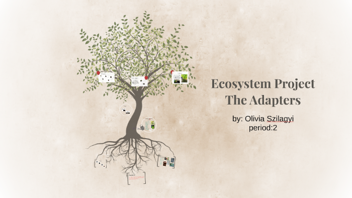 Ecosystem Project by Olivia Szilagyi on Prezi