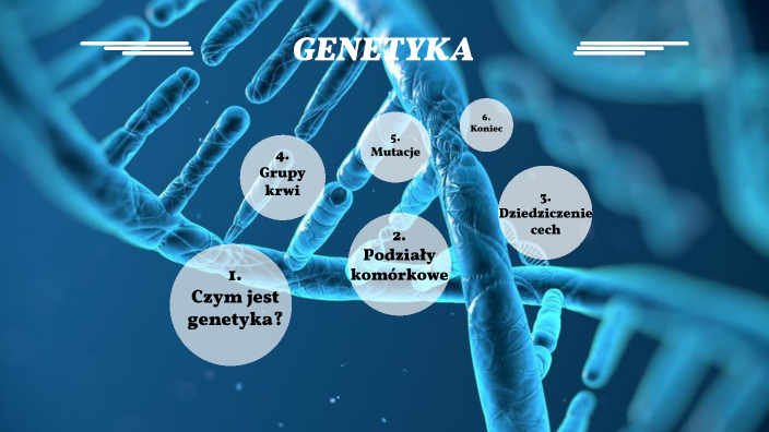 Genetyka By Wiktor K. On Prezi