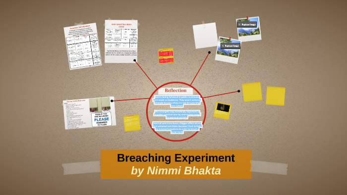 breaching experiment essay examples