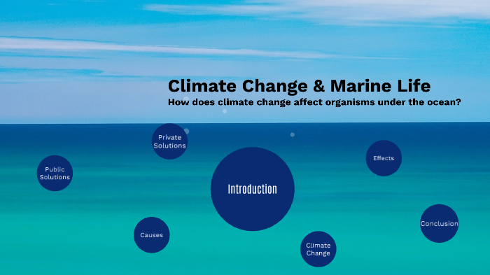 Climate Change Marine Life By Soomin Lee On Prezi Climate Change Marine Life By Soomin Lee On Prezi