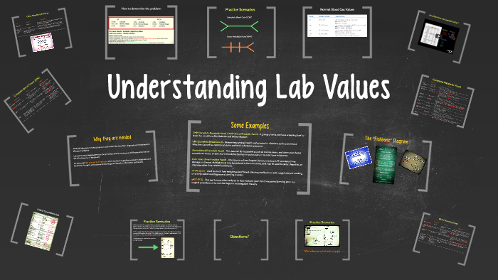  understanding lab values by matthew bradshaw