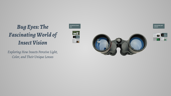 Bug Eyes: The Fascinating World of Insect Vision by ayah Belaib on Prezi