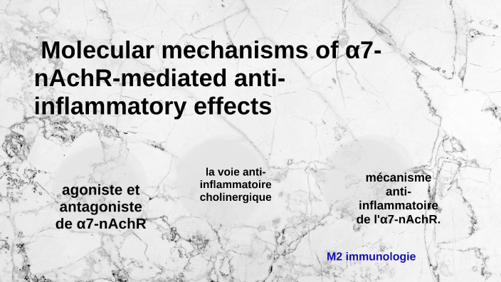 Molecular mechanisms of α7-nAchR-mediated anti-inflammatory effects by ...