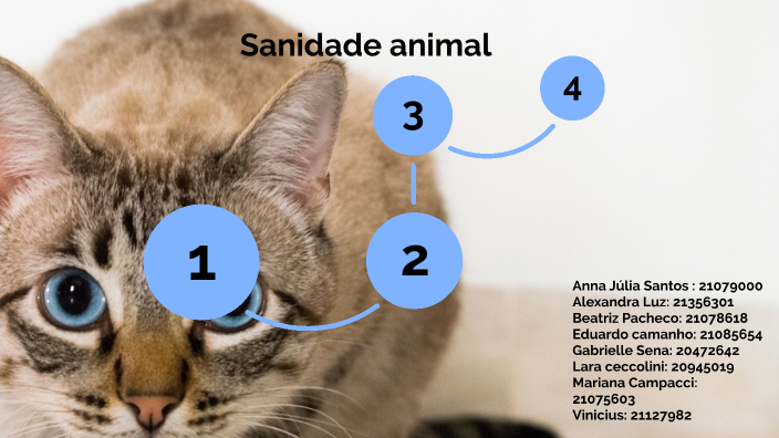 sanidade animal by Anna Julia Santos on Prezi