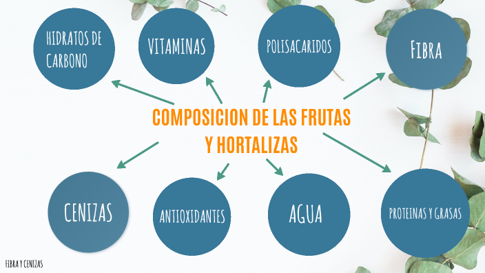 Composicion De Frutas Y Hortalizas By Sarah Lizeth Alonso Balderas On Prezi 3863