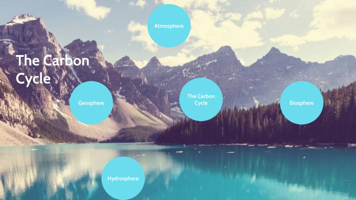 Carbon Cycle Model by Rachel Snively on Prezi