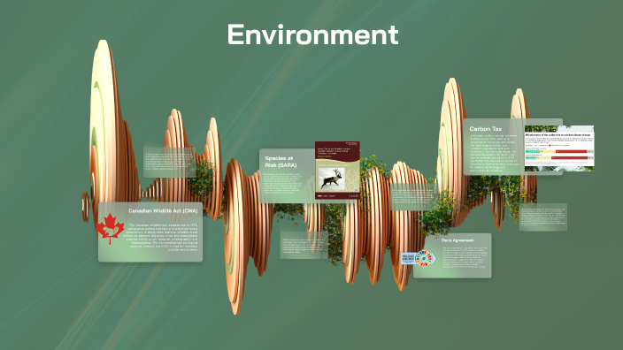 Understanding the Environment by Sofia Yousafzai on Prezi