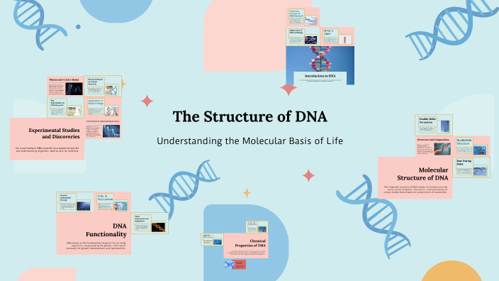 The Structure of DNA by Matteo Alia on Prezi